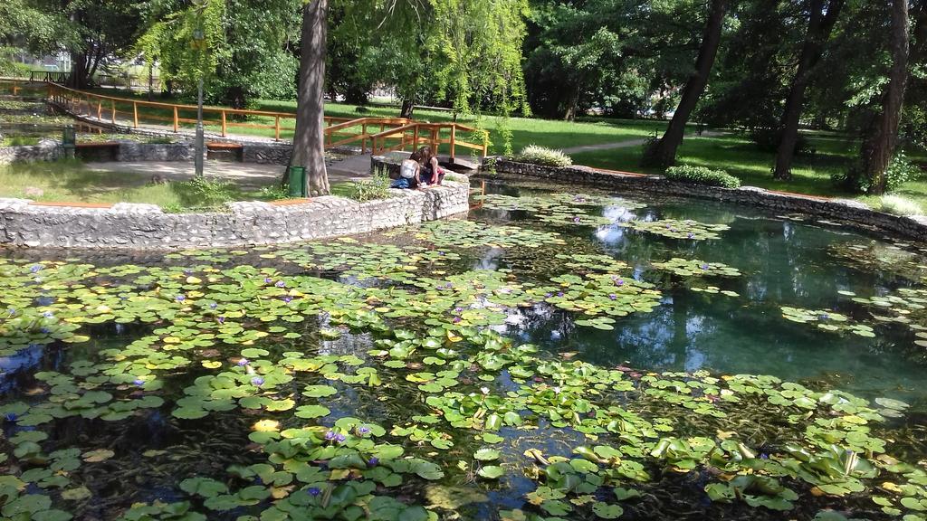 Margareta Vendeghaz Hotel Mişcolţ Exterior foto